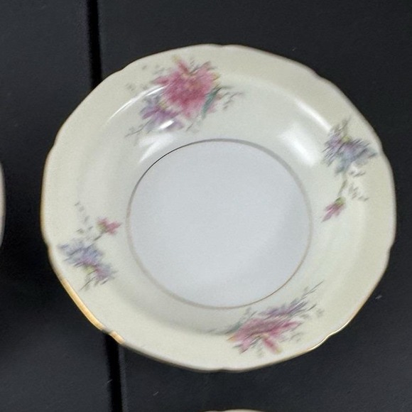 Vintage Black Knight "Conchita" Waldenburg Germany Set of 11 Berry Dessert Bowls - Picture 1 of 8